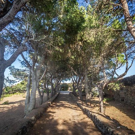 Dammuso I Pini Di Kaddiuggia Vila Campobello Exterior foto