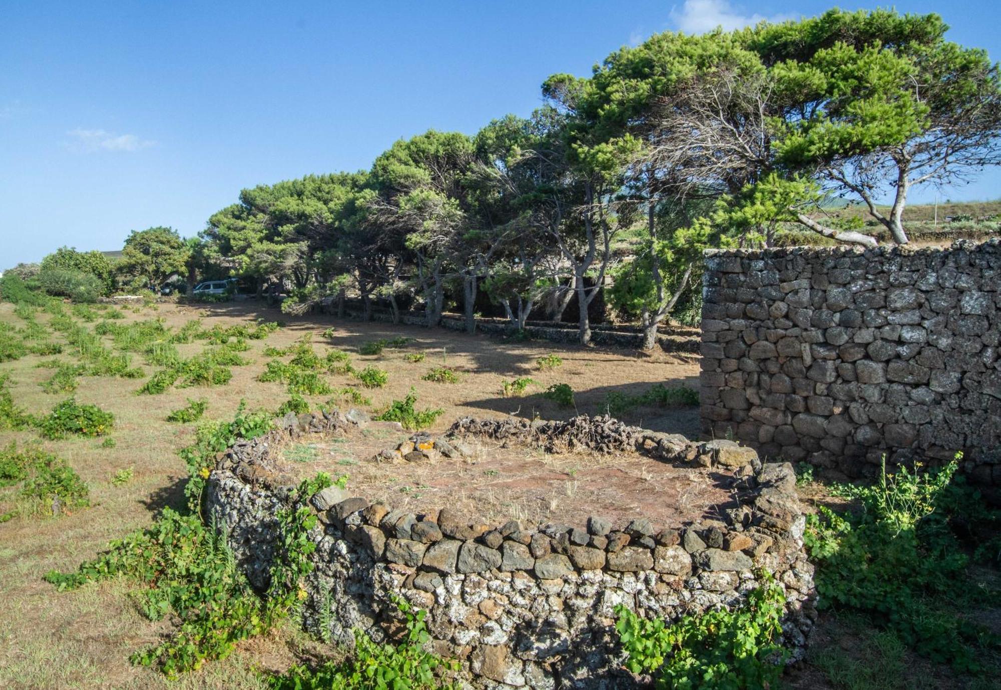 Dammuso I Pini Di Kaddiuggia Vila Campobello Exterior foto